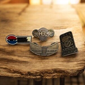 vintage collectible harley davidson pins 1993,95 & 2010